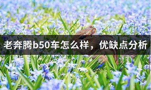 奔腾b50优缺点_奔腾b50有啥缺点